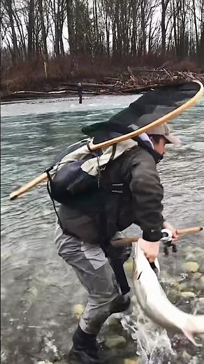 Steelhead grab and go!