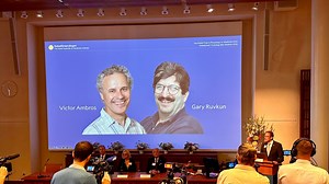 Victor Ambros y Gary Ruvkun ganan el Nobel de Medicina por el descubrimiento del microARN