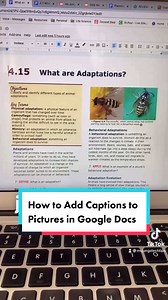 How to Easily Add Captions to Images in Google Docs