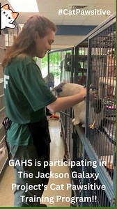 We've got some news that has us feline fabulous!! We have been accepted into the Cat Pawsitive program by The Jackson Galaxy Project!! This program is designed to keep adoptable cats mentally and physically active in a shelter or rescue environment. The focus is on fun, positive reinforcement based training sessions that go beyond playtime-as-usual to help cats maintain their mojo and connect more quickly with potential adopters. From teaching high fives and head bumps, to “sit” and “come when c