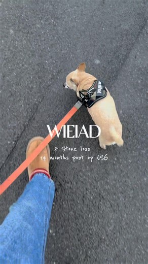 Here’s everything I ate yesterday 😍 #gastricsleeve #gastricsleevecommunity #vsg #vsglife #wieiad