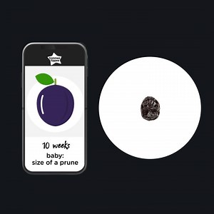 14 reactions · 30 comments | Mamas-to-be! What size are you right now? A tiny pea? a little prune? A ripe peach? Or a large watermelon? Show us in emojis what size fruit or veggie you are, and how far you have to go week wise! | Tommee Tippee | Facebook