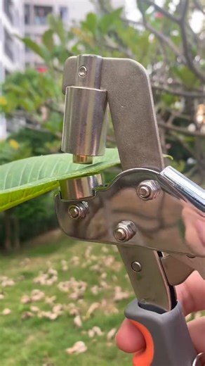 🔥 Professional Grommet Tool Kit – Punch, Set, & Secure in Seconds! 🛠️ Create reinforced holes like a pro! This all-in-one kit includes a punch, setter, and assorted grommets for adding durable, polished eyelets to tarps, banners, fabrics, and DIY crafts—no experience needed! ✅ Steel Tool 100 Grommets – Multiple sizes (8mm, 10mm, 12mm) for versatile projects ✅ One-Hand Operation – Simple squeeze action for quick, clean holes ✅ Durable Carry Case – Keeps pieces organized and portable ✅ No-Slip G