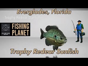 Trophy Redear Sunfish Everglades Florida Fishing Planet Guide