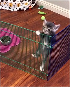 The great escape... almost 😂 | STUDENTbible