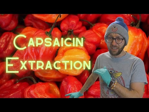 Capsaicin Extraction With A Soxhlet Extractor