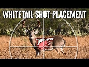 Whitetail Deer Shot Placement - From a Pro Guide