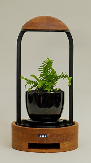 88K views · 696 reactions | This plant will die if I’m on my phone too much. Link in my bio to watch the full video on YouTube! | Simone Giertz | Facebook