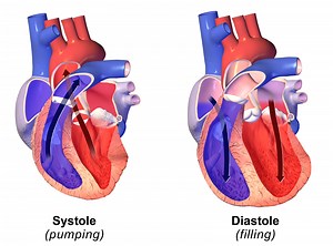 Pagkakaiba sa pagitan ng systolic at diastolic - Balita 2026