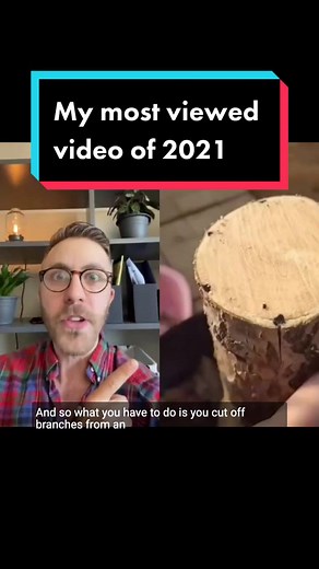 Lavender Under Apple Tree - Growing Multiple Fruits | Fun Plant Facts