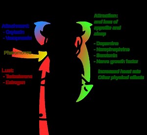 Pheromone party - Alchetron, The Free Social Encyclopedia
