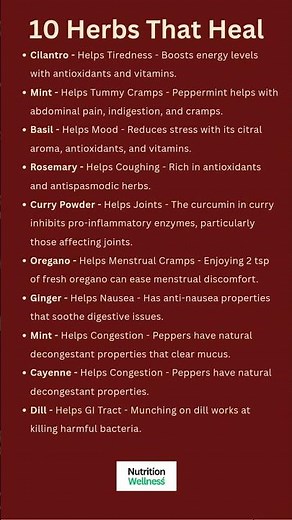 10 Herbs That Heal