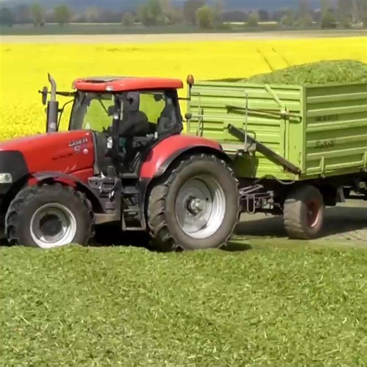 11K views · 203 reactions | Lets see what we are doing everyday at our Farm   #Grassilage #FarmingUK #farminglife | Big Machines | Facebook