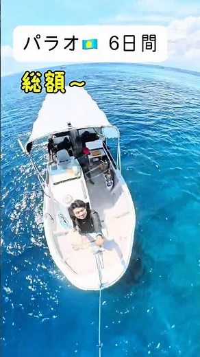 【総額39万円】パラオ6日ダイビングのリアル費用…全部公開 #diving #travel #ダイビング #ダイビングショップ