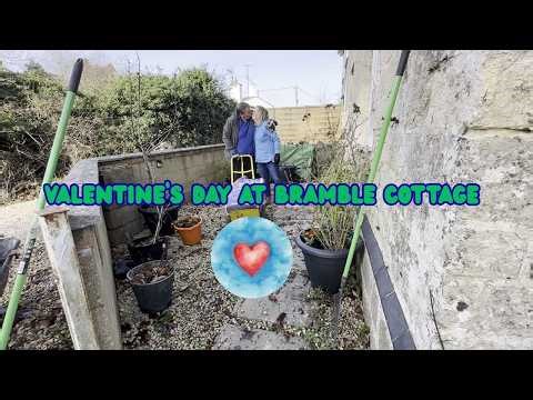 Valentine's day 2026. Raking up leaves at Bramble Cottage