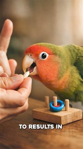 How To Train a Lovebird Like a Pro