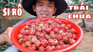 238K views · 9.9K reactions | Cách nấu siro từ 1000 trái chua | Sang Vlog | Facebook