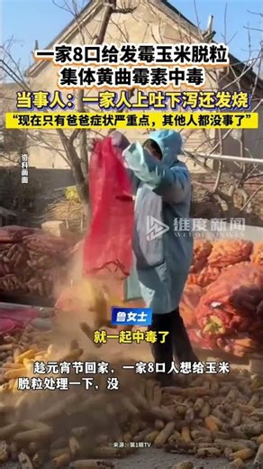 一家8口给发霉玉米脱粒集体黄曲霉素中毒。当事人：一家人上吐下泻还发烧。#玉米 #发霉玉米 #黄曲霉素