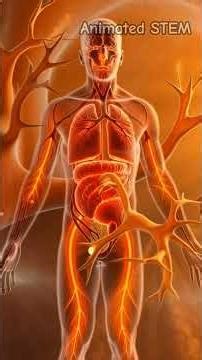 Hidden Nutrient Deficiencies Destroying Your Health (Warning Signs You Shouldn’t Ignore)