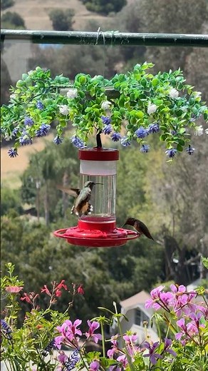 Hummingbird Feeder Hanger with Cover Easy DIY for Hummingbirds & Orioles Protect from Hot Sun & Rain