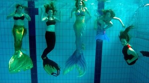 Seven Mermaids Meet | Mermaid Tails in Pool | Stella the Siren