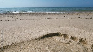 Seashore Steps: Footprints in the Sand