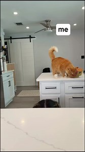 When You BREAK Moms FAV Glass | Amyy Woahh