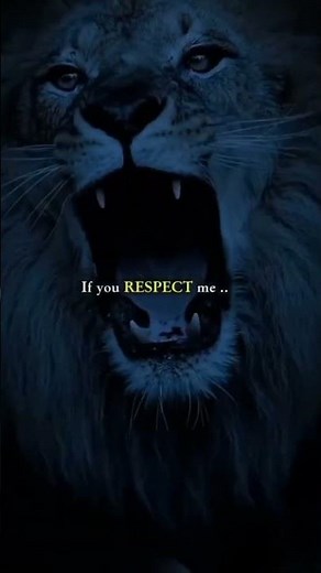 🦁 Lion attitude l Lion attitude quotes l Lion attitude status l lion attitude motivational video 🦁