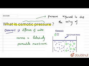 What is osmotic pressure ?