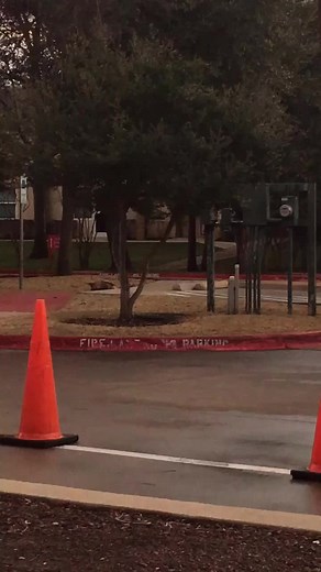 gabby (@gabanero_pepper)’s videos with Campus - Vampire Weekend