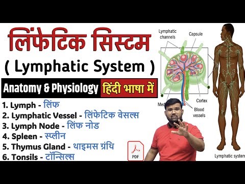 Lymphatic System | लिंफेटिक सिस्टम | Lymph Node | Spleen | Anatomy And Physiology | Anatomy | Doctor