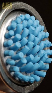 plasticine fun #asmr #asmrsounds #macroart #macro #macrophotography #makrofotografia #closeup #closeupphotògraphy #raw_macro #kings_macro #macro_highlight #macro_royals #macroworld_tr #macro_vision #macro_captures #macro_holic #microworld | Alien Inventory