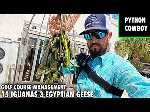 Hunting Invasive Iguanas On A South Florida Golf Course