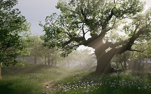 虚幻引擎5+SpeedTree 9 ！制作游戏植物树木教程！