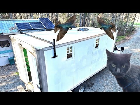 The Birds & The Black Flies, Rory's Update & a start on the Ladder Racks