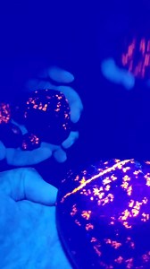 11K views · 168 reactions | Bingo! Hunting Yooperlites stones on Lake...