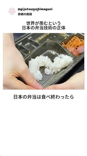 世界が羨むという 日本の弁当技術の正体