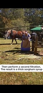 The process of making sorghum syrup in arkansas #gardening #garden #gardeningtips #gardenlife #gardeninspiration #gardenideas #gardenlove #gardendesign #gardenersofinstagram #gardenersworld #garden_styles #gardenphotography #gardenlovers #gardenerslife #gardenarart #gardenbeauty #gardensofinstagram #gardenplants #gardenviews #gardenersparadise #gardenista #gardeningcommunity #gardenloversclub #gardenaddict #gardeners #gardenerslife | Gardening Ideas