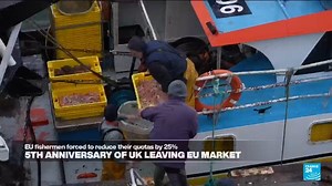 🇬🇧 🇪🇺 🇫🇷 ⛴️ Five years after #Brexit, fishermen on the coast of Brittany are struggling with lower yields and scarce fishing grounds as #French boats lost the right to fish in #British waters, losing out to Spanish fleets fishing more in French and other #EU waters. | FRANCE 24 English