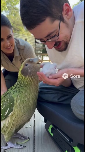 カカポの魅力とかわいさを探る