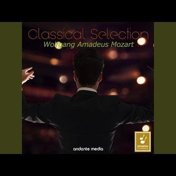 Symphony No. 7 in D Major, K. 45: II. Allegro