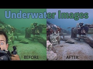 "Remove Water From Underwater Images" With Camera Settings