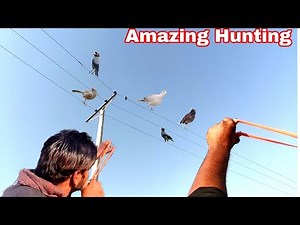 Amazing Birds Hunting shots With Slingshot!