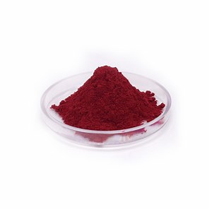 [Hot Item] Wild Yam Extract Diosgenin Powder CAS 512-04-9 99% Diosgenin