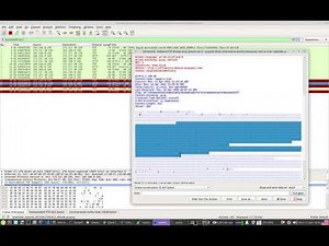Wireshark Capture for different domains (capture filters)