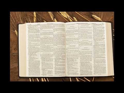 Dake Annotated Reference Bible: Large Print Leather Bound