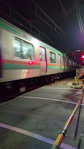 東海道本線 下り E231系1000番台 平塚行 #東海道本線 #東海道線 #E231系1000番台 #平塚行 #JR線 #JR東日本
