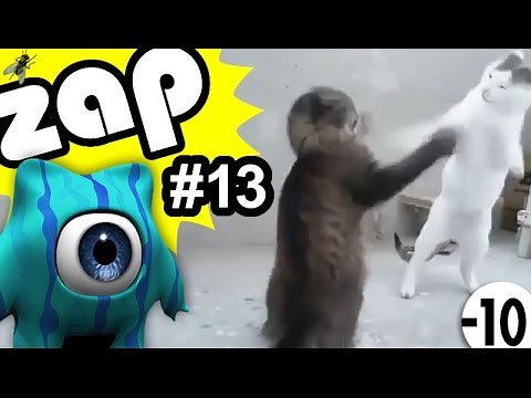 【 ZAPPING 13 】 Buzz, Zap & Vidéo Choc n°13 ► Youclip.fr