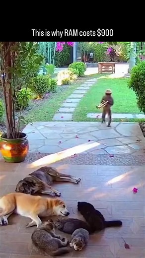 AI Unfolded | Artificial Intelligence on Instagram: "Because AI is eating the memory market. Modern AI models don’t just need GPUs — they need huge amounts of ultra-fast RAM, especially HBM (High Bandwidth Memory). Data centers are buying it in bulk at almost any price, because performance scales directly with memory speed and capacity. Chipmakers follow the money. They’re prioritizing HBM and server-grade memory with much higher margins, which cuts supply for consumer RAM. Less supply + massive