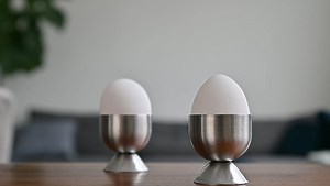 A Beginner's Guide to Aperture in Photography